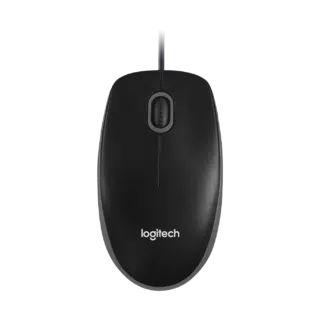 Logitech B100